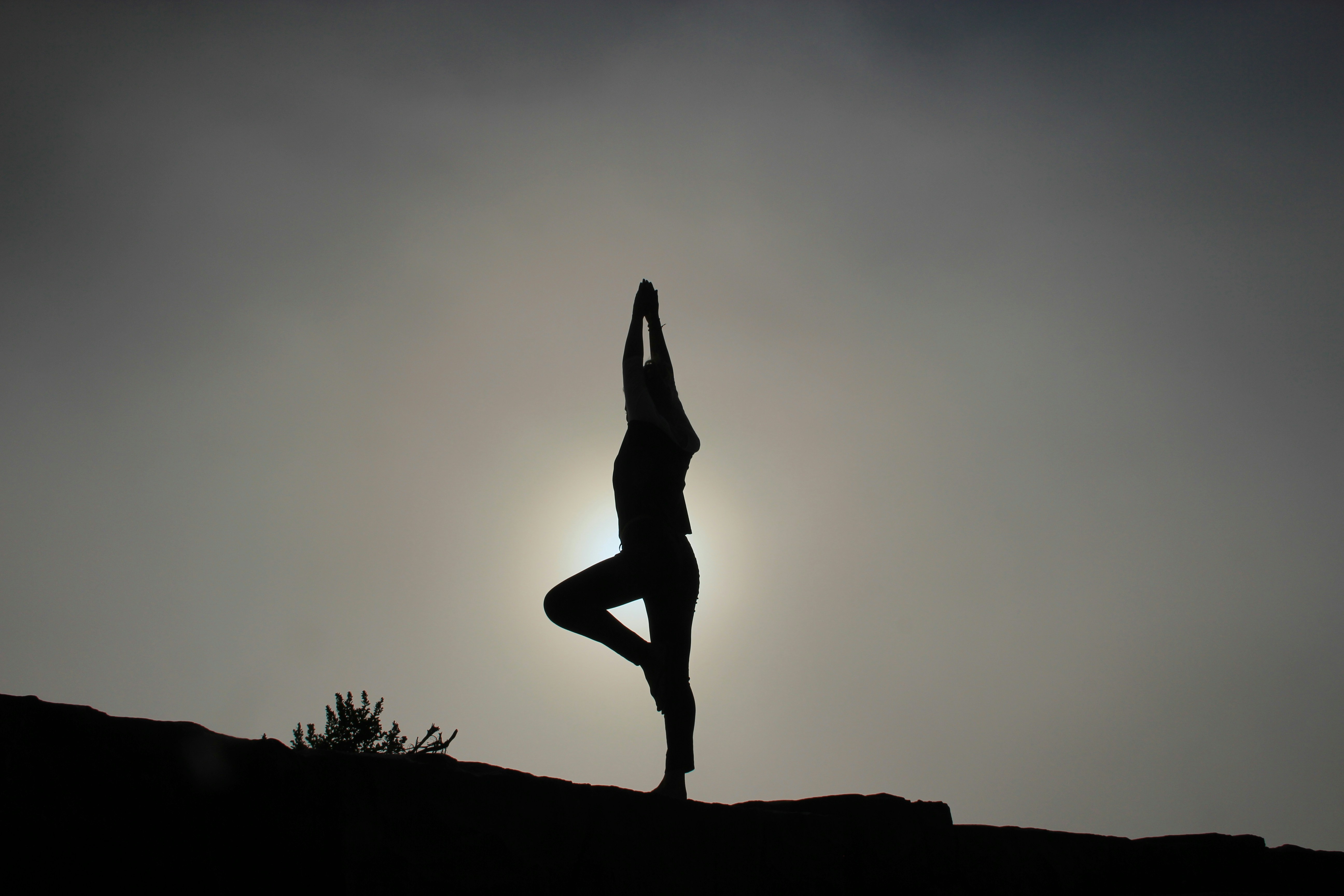 Health and wellness studio — yoga and meditation