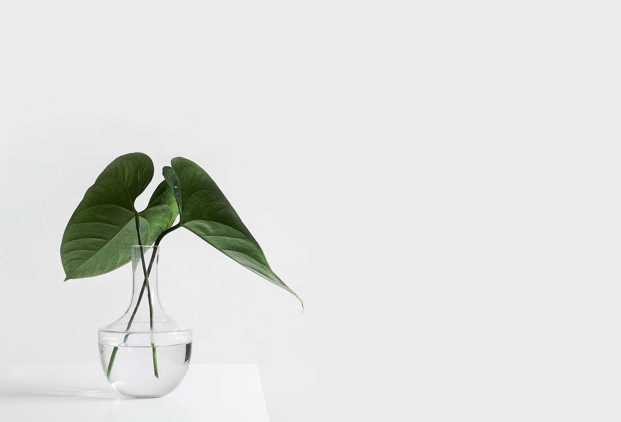 Health and Wellness Blog
